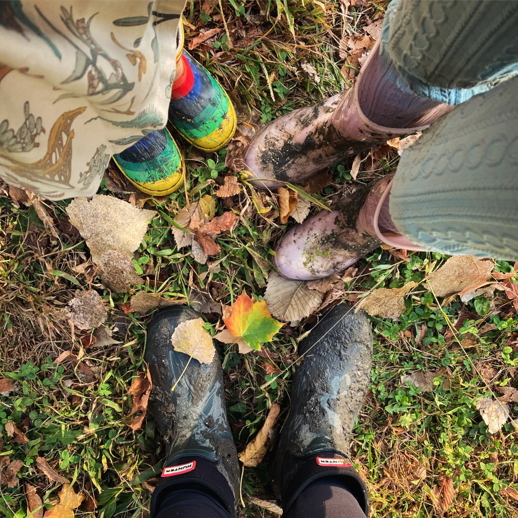 a cadence of&nbsp;calm