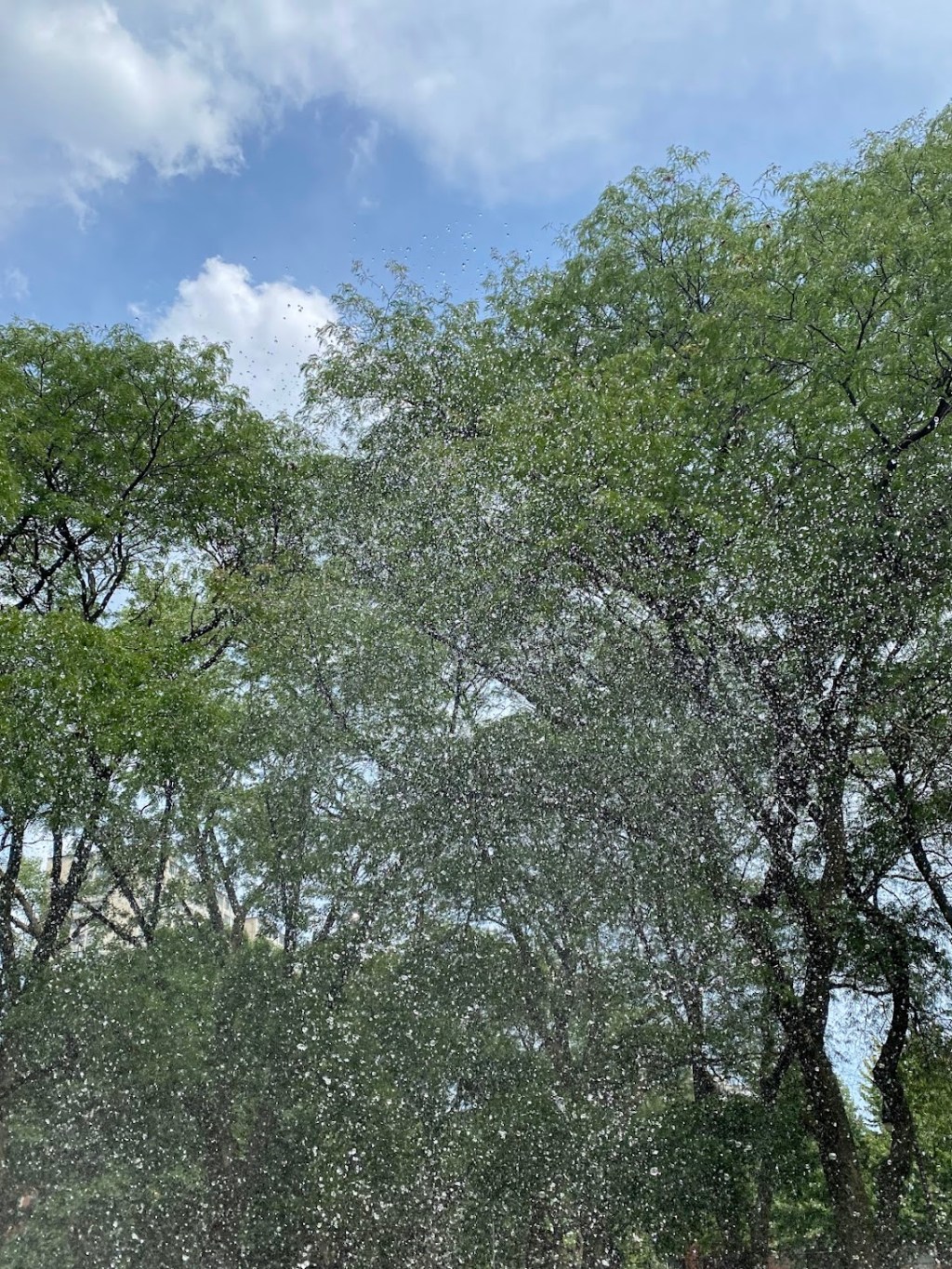 let august be&nbsp;august