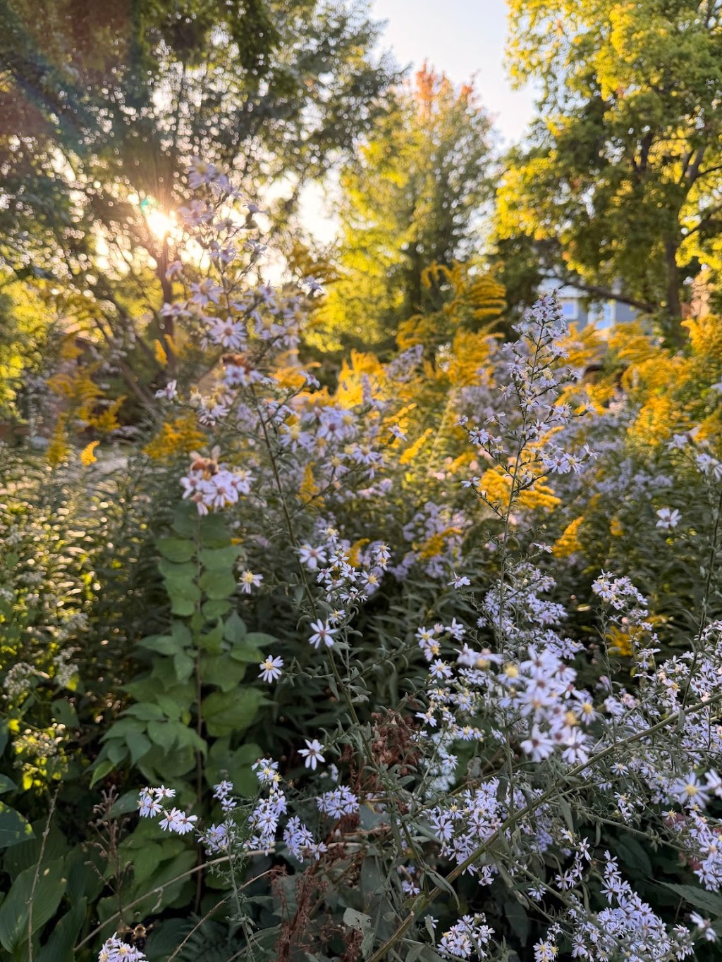 a two block&nbsp;walk