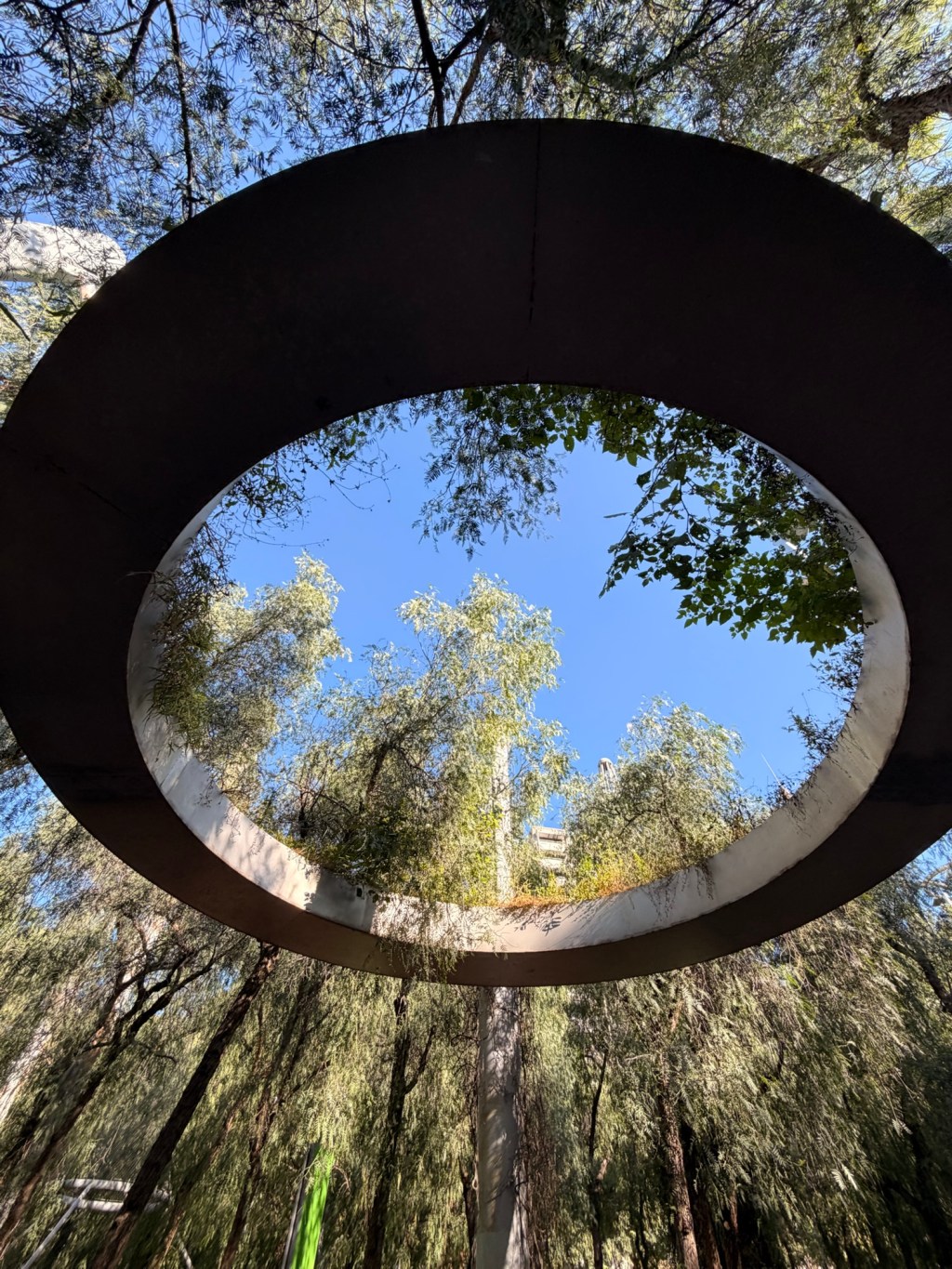 the nests & wells of the sky&nbsp;(🔘)