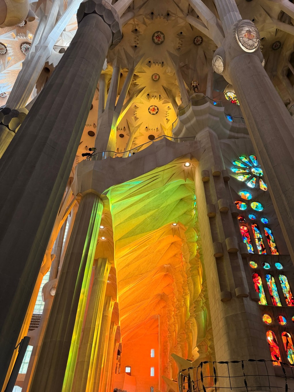 el gran bosc / the great&nbsp;forest