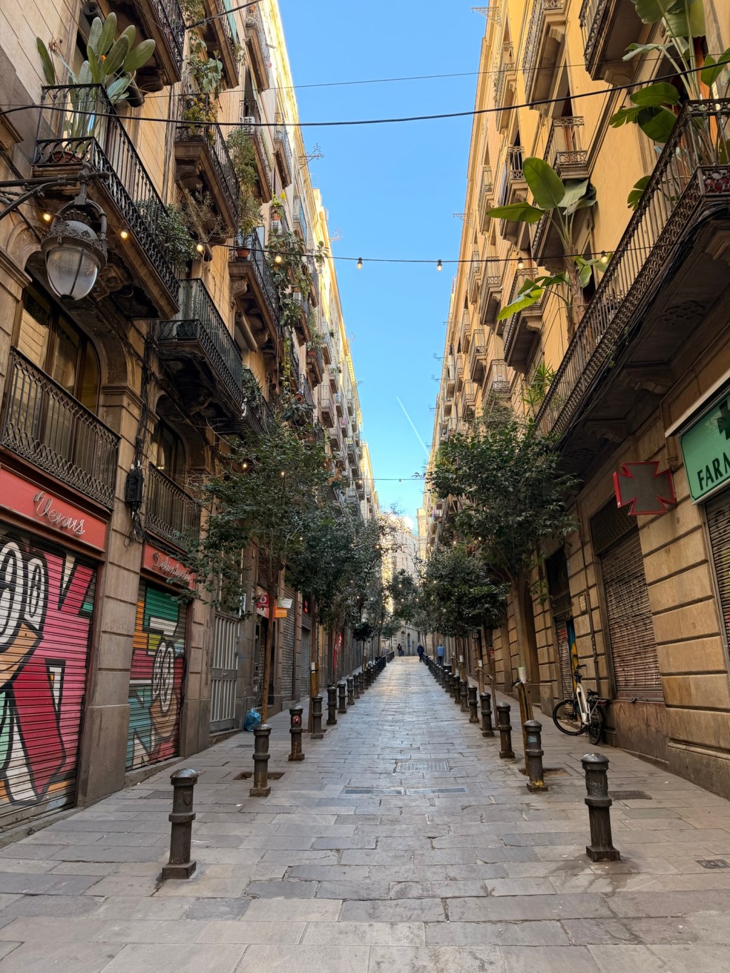 every rainbow is a circle with your shadow at its&nbsp;center