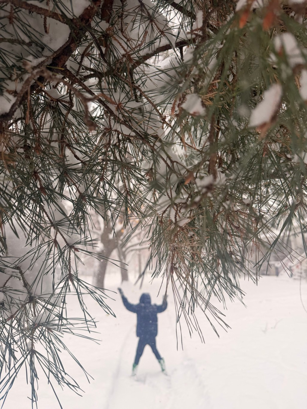 more like resting than running.&nbsp;🔜🕊️