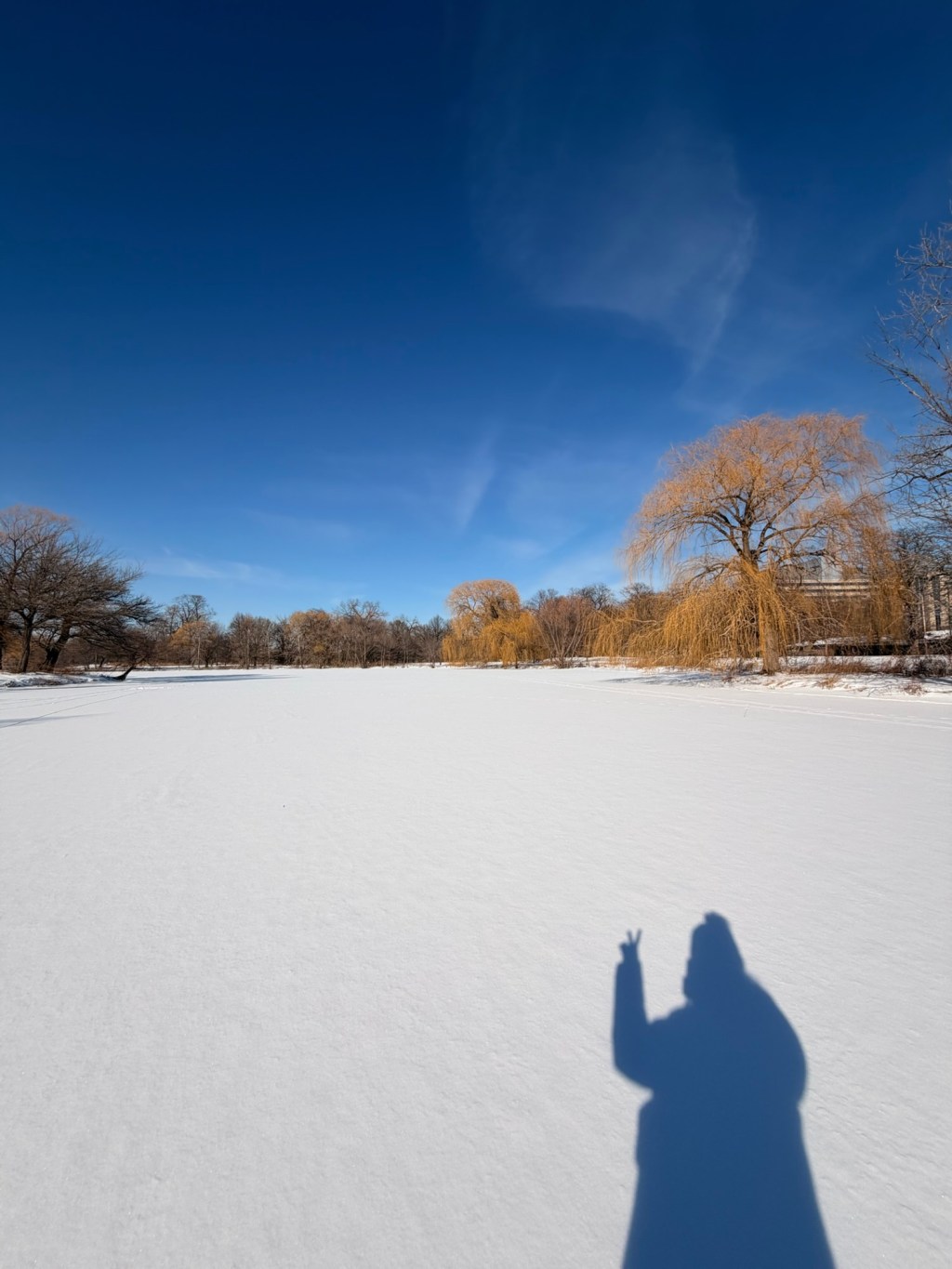 you don’t really have to&nbsp;rush