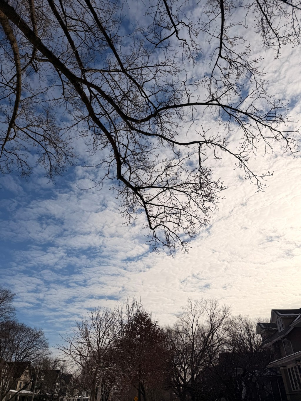 “because. i am not&nbsp;rice.”