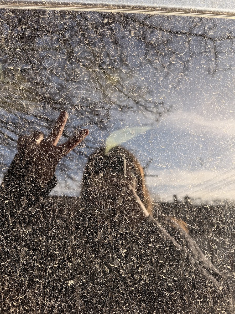 through the quagmire of who i might be: a child in the&nbsp;garden