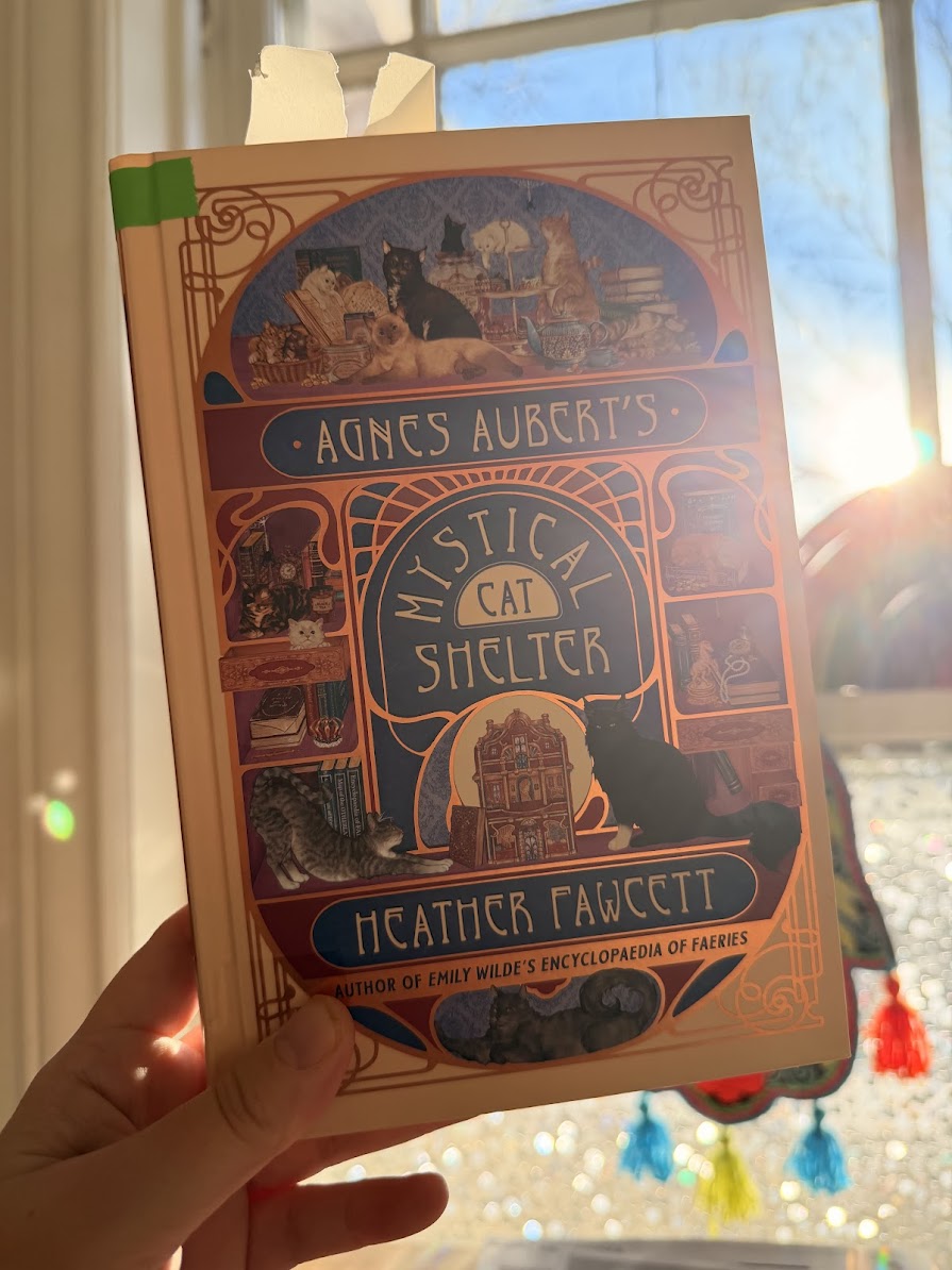 back on my cosy&nbsp;bullsh