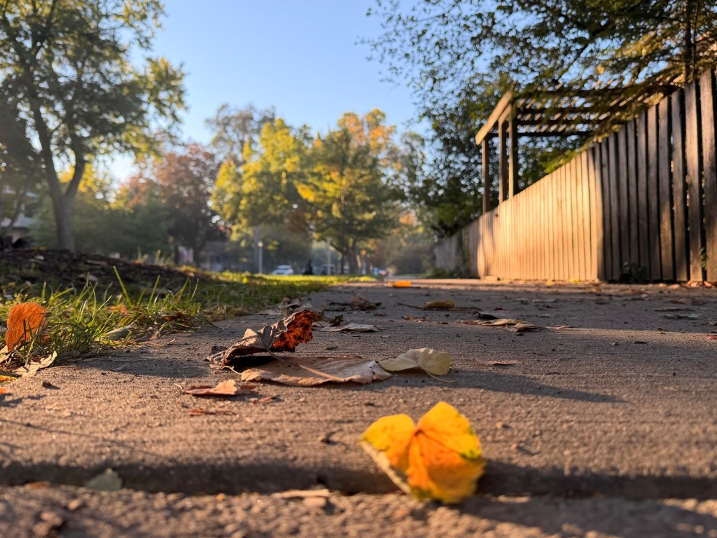 gratitude+